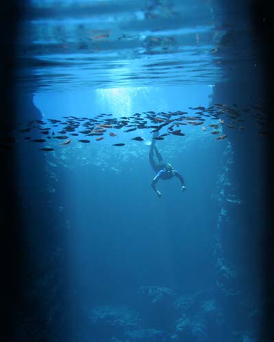 Swallowsa Cave, Vava'u, Tonga