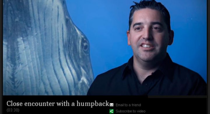 SMH Interview Scott Portelli