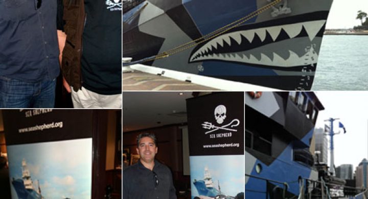 Sea Shepherd