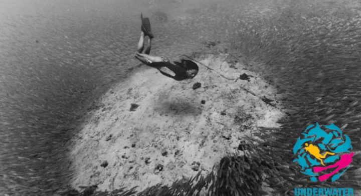 Underwater festival 2013 Humans Category