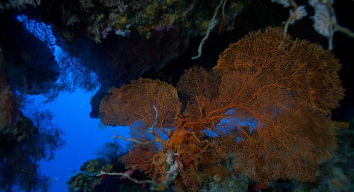 Christmas and Cocos Island