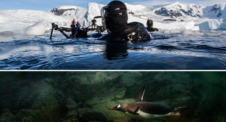 Poster-Antarctica-Tour-Page