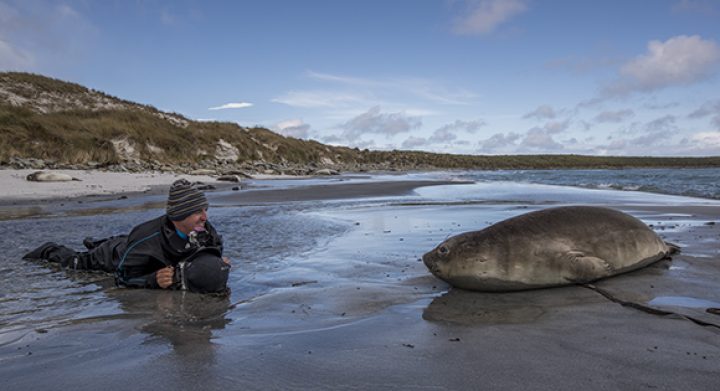 Scott Portelli photgraphing an Elephant Seal