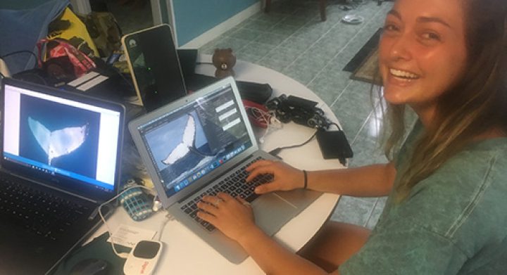 rolex scholar melanie brown working on the Tongan fluke collective