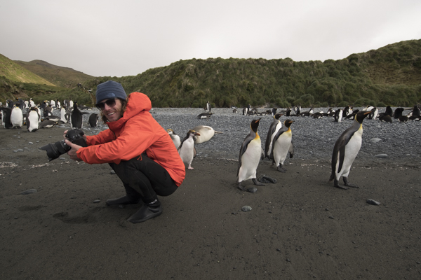 Matt Draper and penguins on subantarctic islands