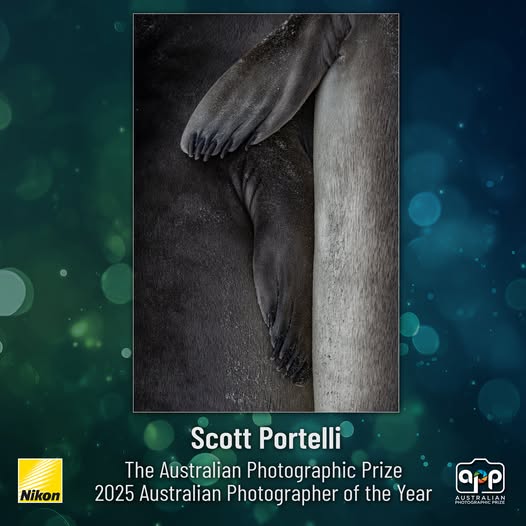 518246338_720254874103684_167343299037077779_n